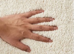 صورة لقسم موكيت