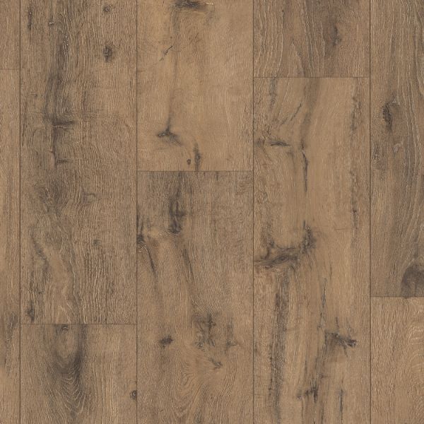 باركيه ايسنشلز 832 - 510012001