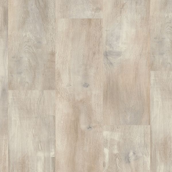 باركيه ايسنشلز 832 - 510012003