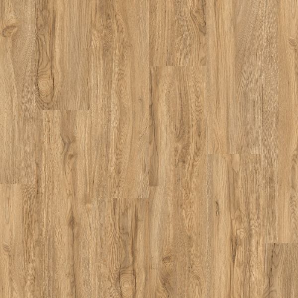 باركيه فينا - 00589